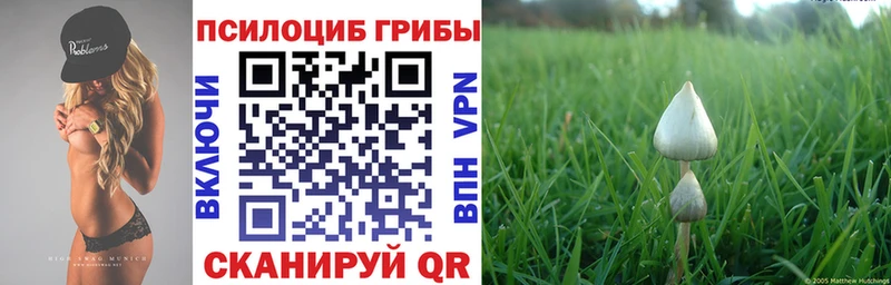 Галлюциногенные грибы мухоморы  MEGA tor  Пенза  купить наркотики цена 