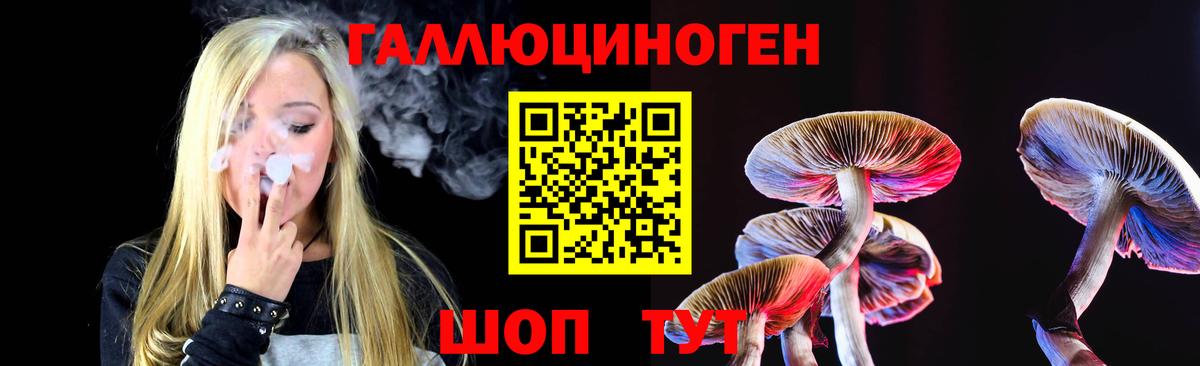 Псилоцибиновые грибы MAGIC MUSHROOMS  Пенза 