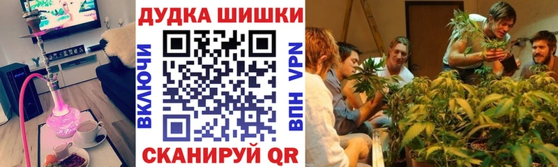 Каннабис семена что такое наркотик Пенза